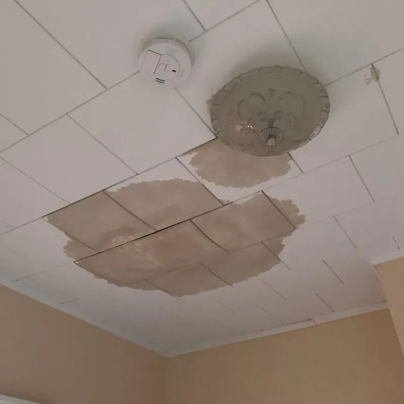 Ceiling Water Damage Repair in McLeod County, MN