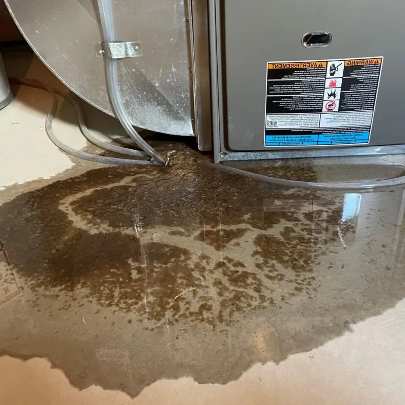 Pipe Burst and Leak Restoration in McLeod County, MN